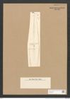 Stauroneis baileyi Ehrenb. (de-Toni-Nr.: Genus 6, Species 880) Zeichnungen Sammlung Grunow Nr. 1741 (NHMW-BOT-W0368624)